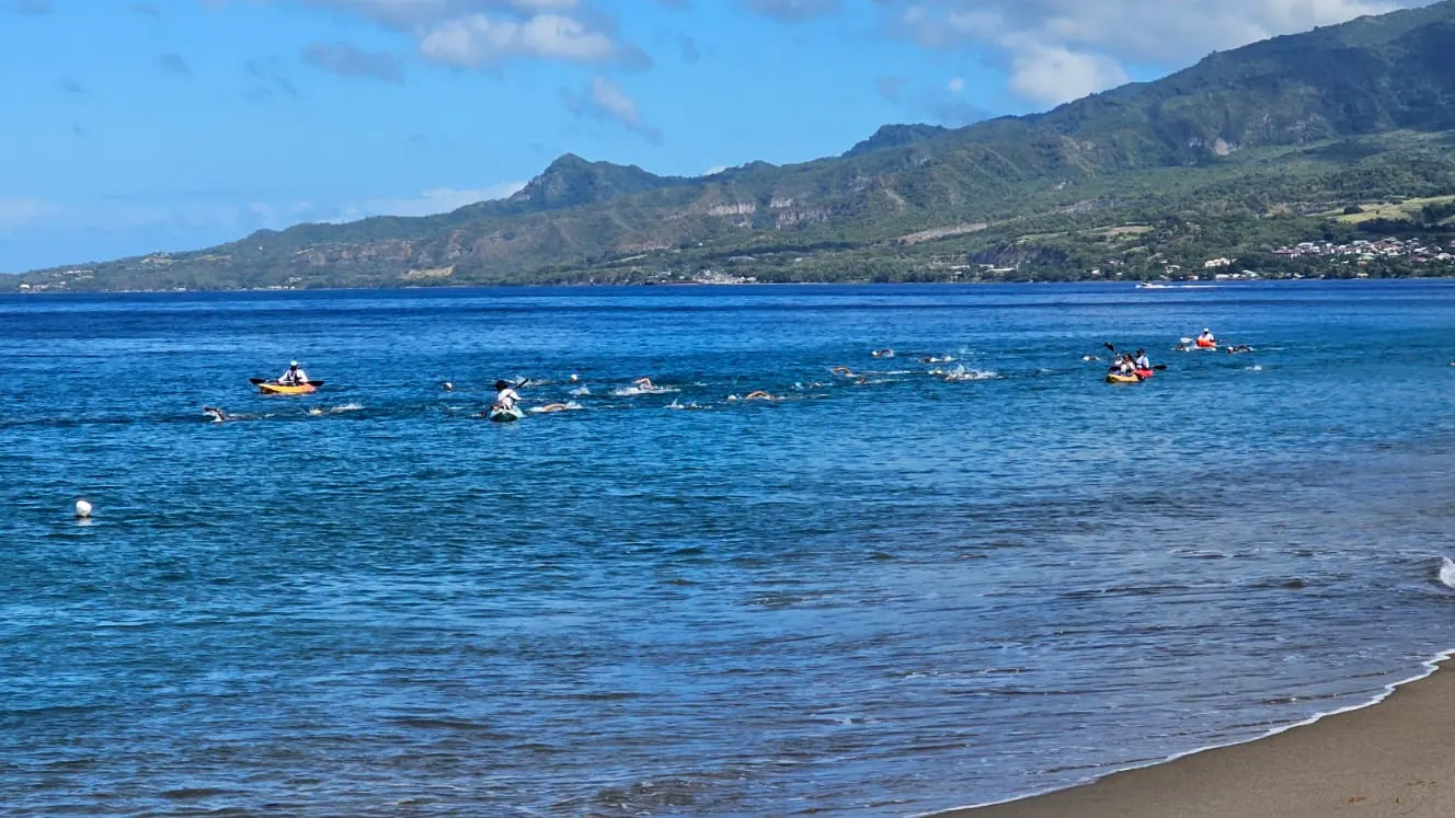 Des nageurs en file le long de la côte caraïbe, escortés par des kayaks, avec la montagne Pelée en arrière-plan